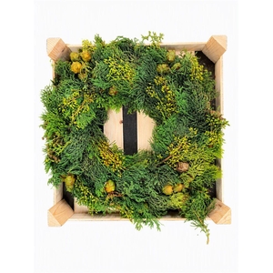 Wr Exotica Pinecone 40cm