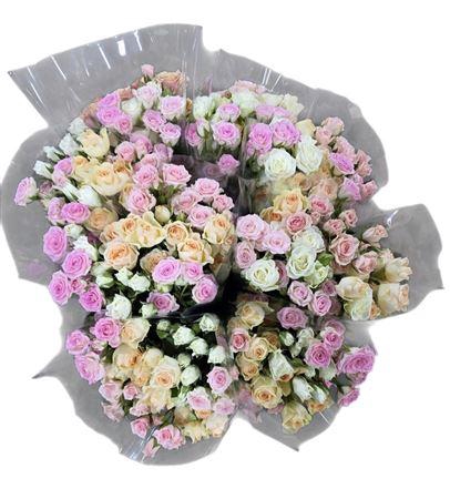 <h4>R Tr Gemengd In Bos</h4>