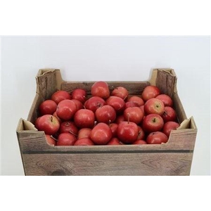 SIERAPPEL MALUS