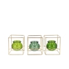 Polly Fresh Green Mix Metal Rack Square Glass Ass 11x11x13cm