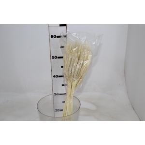 FLOR DE TRIGO ALVEJADO