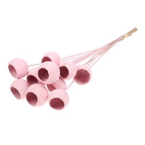 Bell Cup O/s 10pc Pink Misty