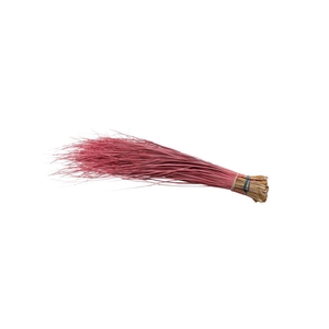 Beargrass Pink