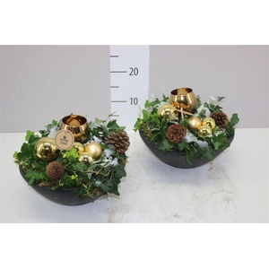 Arr 8485 Goud Ebbi Schaal