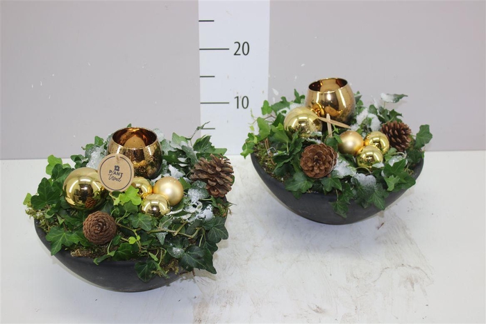 <h4>Arr 8485 Goud Ebbi Schaal</h4>