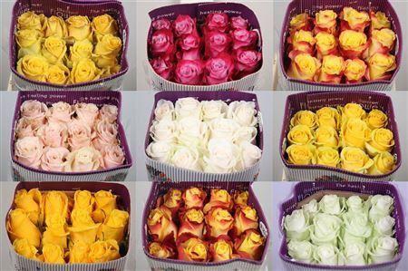 R Gr Gemengd In Fust Ec