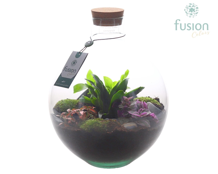 <h4>Terrarium Okaido Large met Arrangement 4pp</h4>