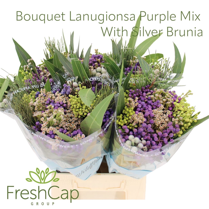 <h4>Bouquet Lanugionsa Purple Mix With Silver Brunia</h4>