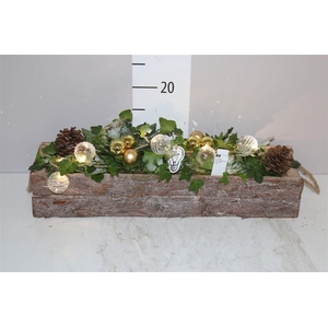 Arr 9798 Goud Schorsbalk