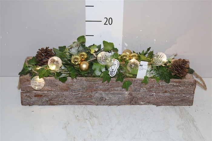 <h4>Arr 9798 Goud Schorsbalk</h4>