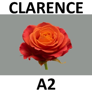 R GR CLARENCE+ @ A2