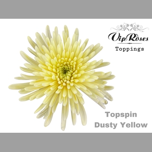 CHR G TOPSPIN DUSTY YELLOW