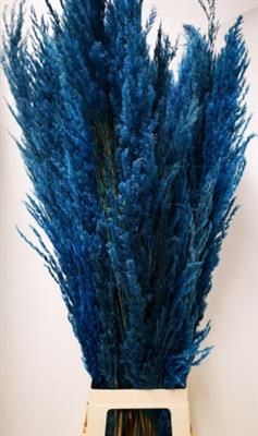 <h4>CORTADERIA BLAUW X8 X8 PER BOS</h4>