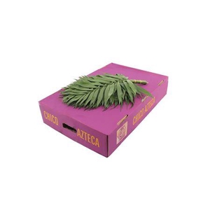 Chico 45cm Jumbo