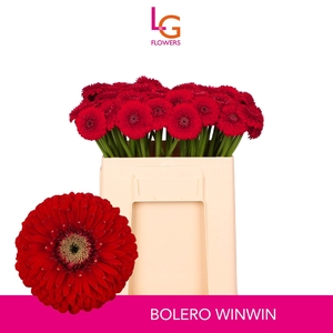 GE MB BOL WINWIN