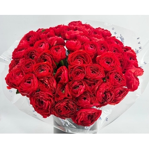 Ranunculus Clooney Tango Super