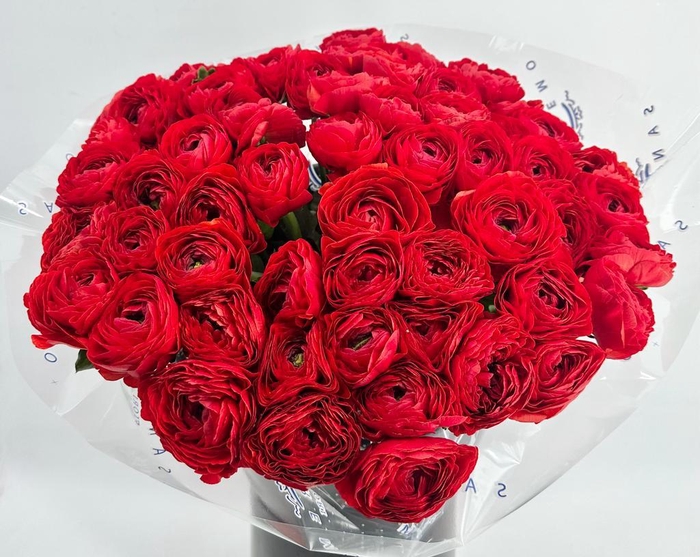 <h4>Ranunculus Clooney Tango Super</h4>