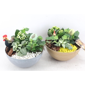 arr2 MB - Kunststof coupe x5 - geel/wit