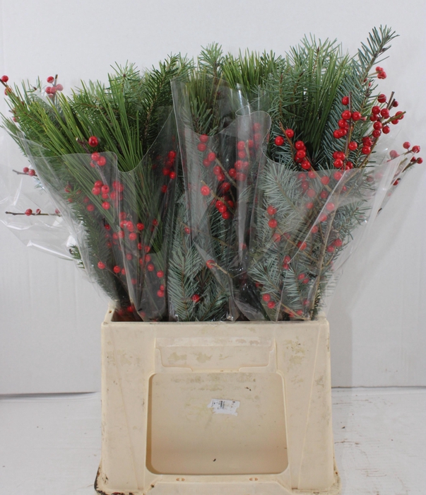 <h4>GEM BOEKET OV</h4>