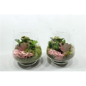 1496 ROZE DRUPPELGLAS