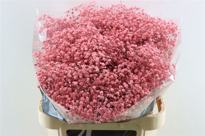 <h4>Gyps Grof Pink (dip)</h4>