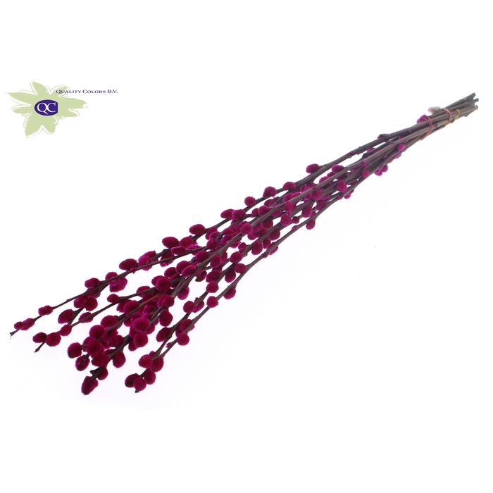 <h4>Pussy Willow 80cm Lilac</h4>