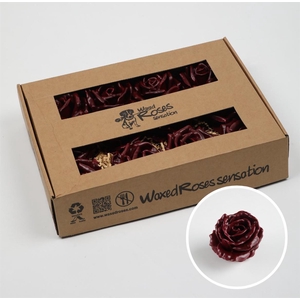 Zijde Wax-Rozen Wax Bordeaux