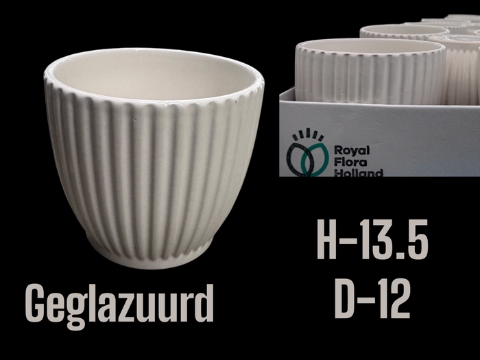 <h4>POT H%</h4>