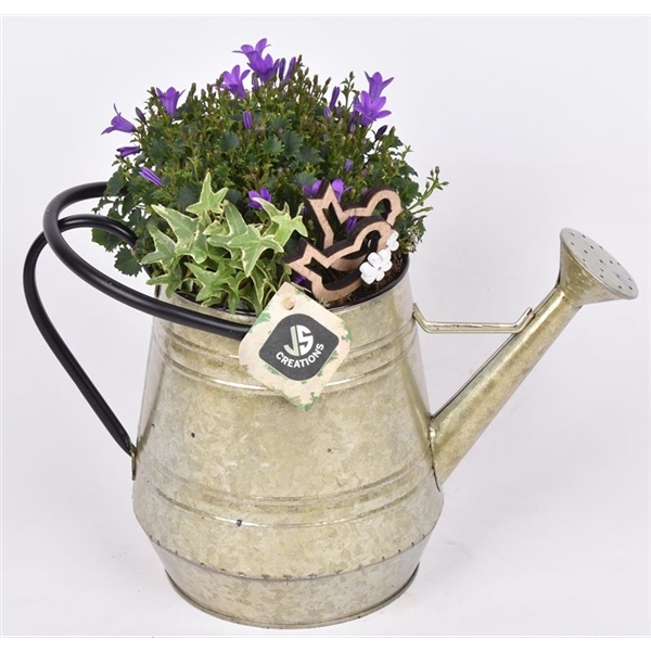 <h4>Zink gieter met hengsel 14/32cm</h4>