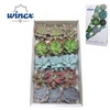 Wincx® - Season Mix Cutflower Wincx-10cm