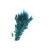 Lagurus Teal