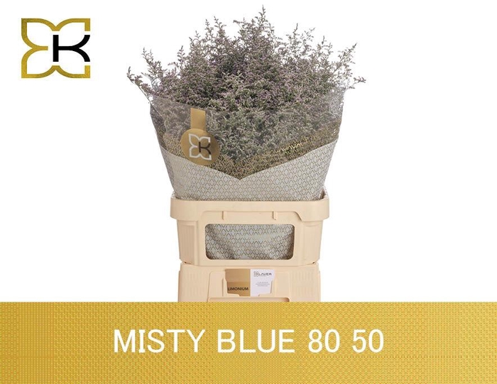 <h4>LIM MISTY BLUE</h4>
