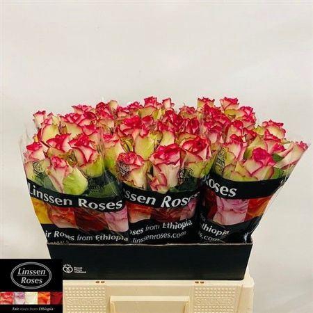 <h4>R Gr E-vent</h4>