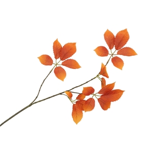 Silk Leaf Elder Orange 81cm