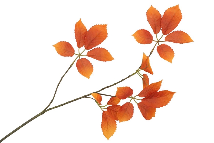 Silk Leaf Elder Orange 81cm