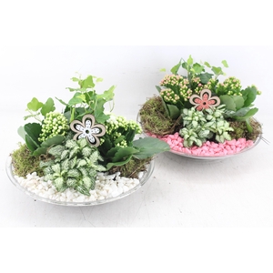 arr2 PL - Glas schaal 27cm - roze/wit