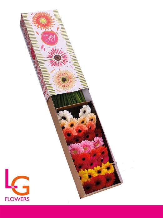 <h4>Germini Mix Doos</h4>