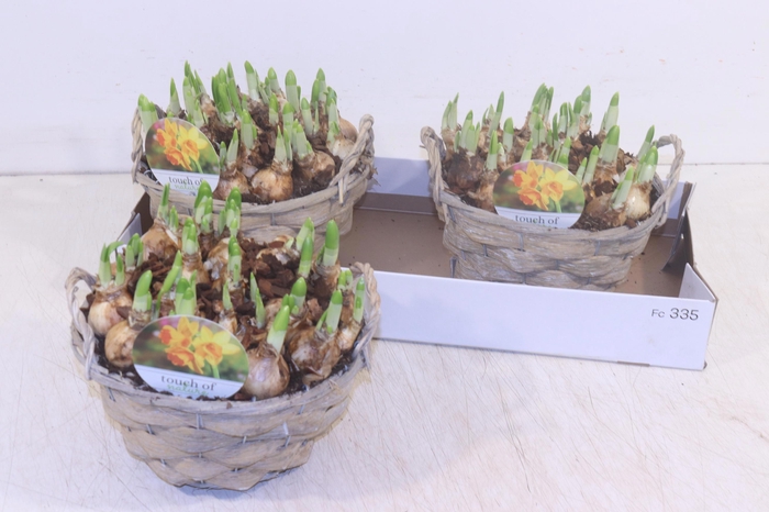 <h4>ARR N TETE A TETE</h4>