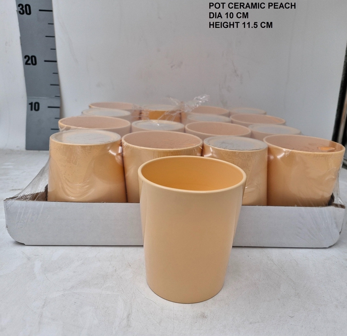 <h4>KERAMISCHE POT H%</h4>