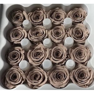 Roos Ava Sand Beige