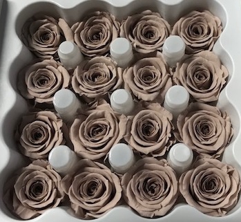Roos Ava Sand Beige