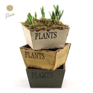 Arr N Tete A Tete H%