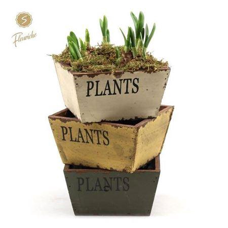 <h4>Arr N Tete A Tete H%</h4>