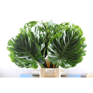 Deco Gr Monstera Blad * (75cm)