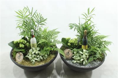 <h4>1876 Ebbi Indoor Hny</h4>