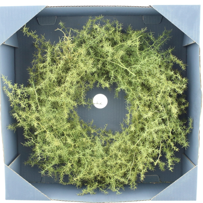 <h4>KRANS H%</h4>