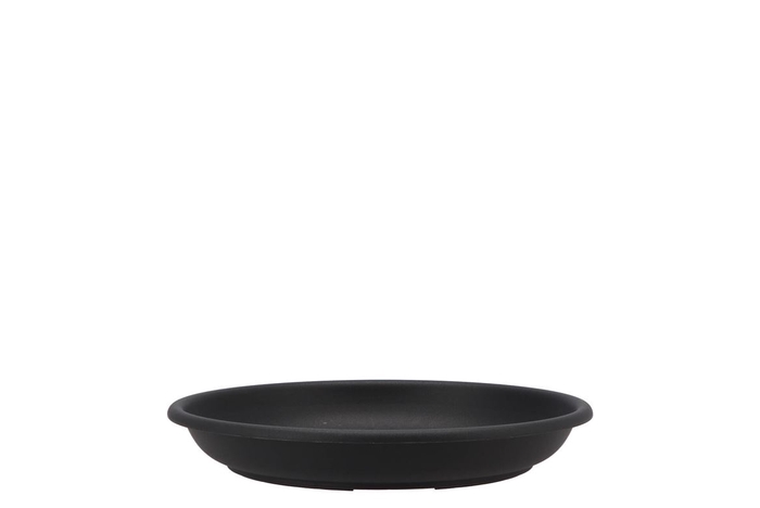 <h4>Floristry Plate 22cm P/10 Black</h4>