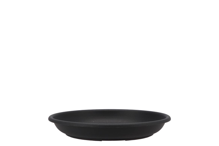 Floristry Plate 22cm P/10 Black