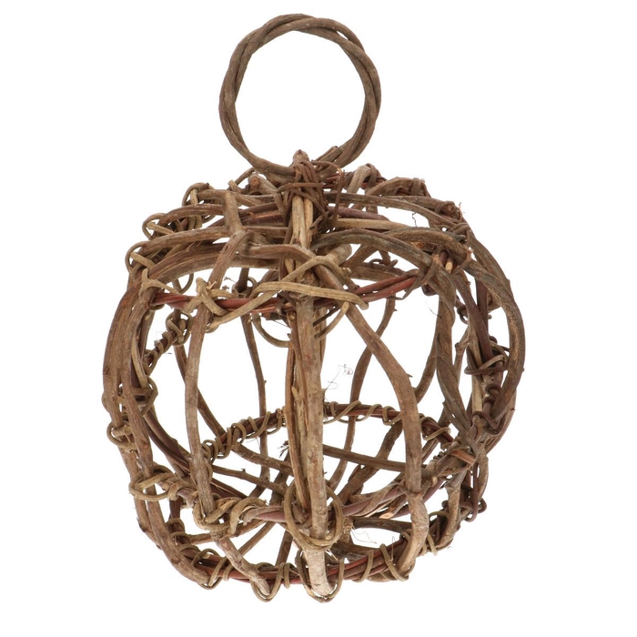 <h4>Droogdeco Bal Crazy vine 30cm</h4>