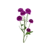 CRISANTEMO SANTINI MALABAR 080 CM VINHO